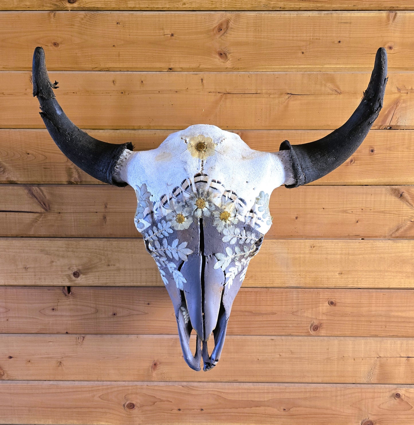 Apollo - Bison Skull Art