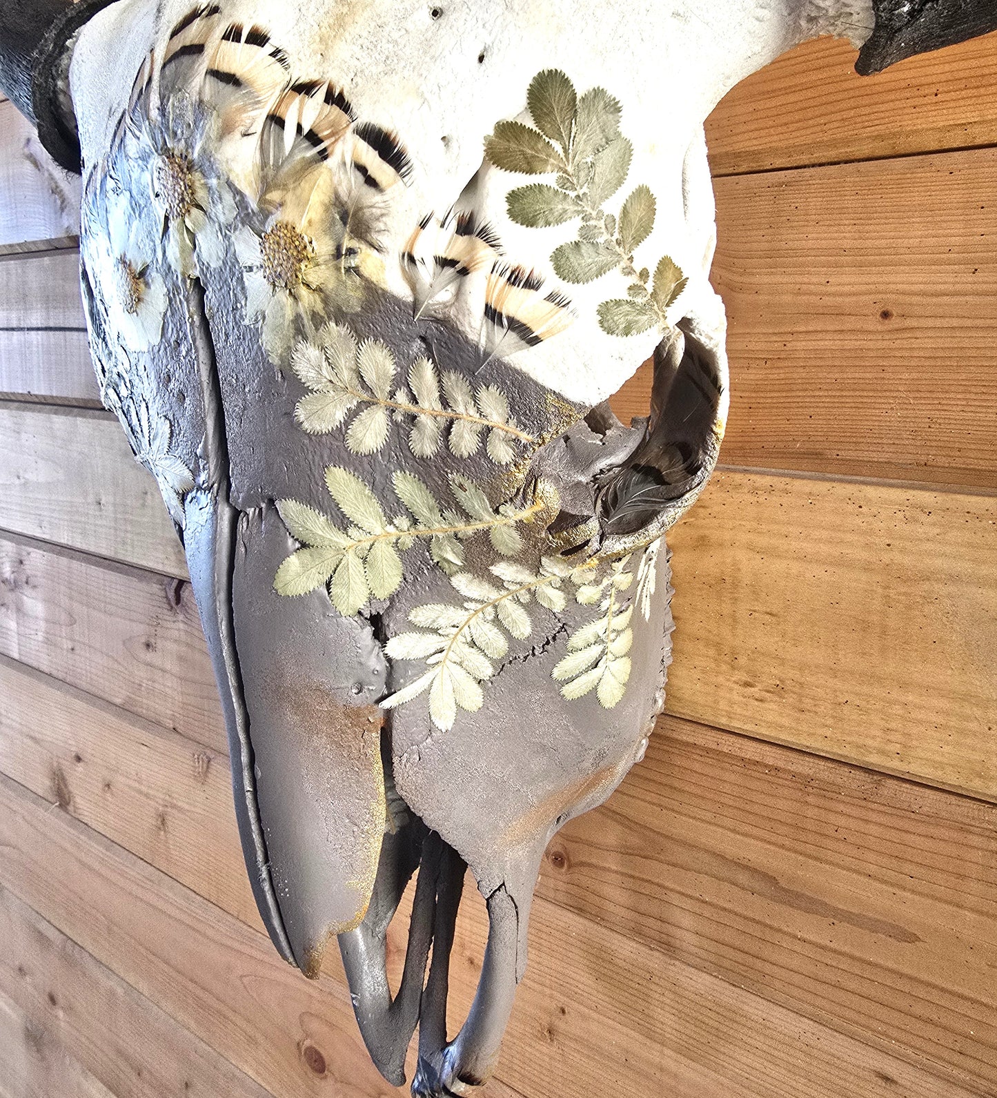 Apollo - Bison Skull Art