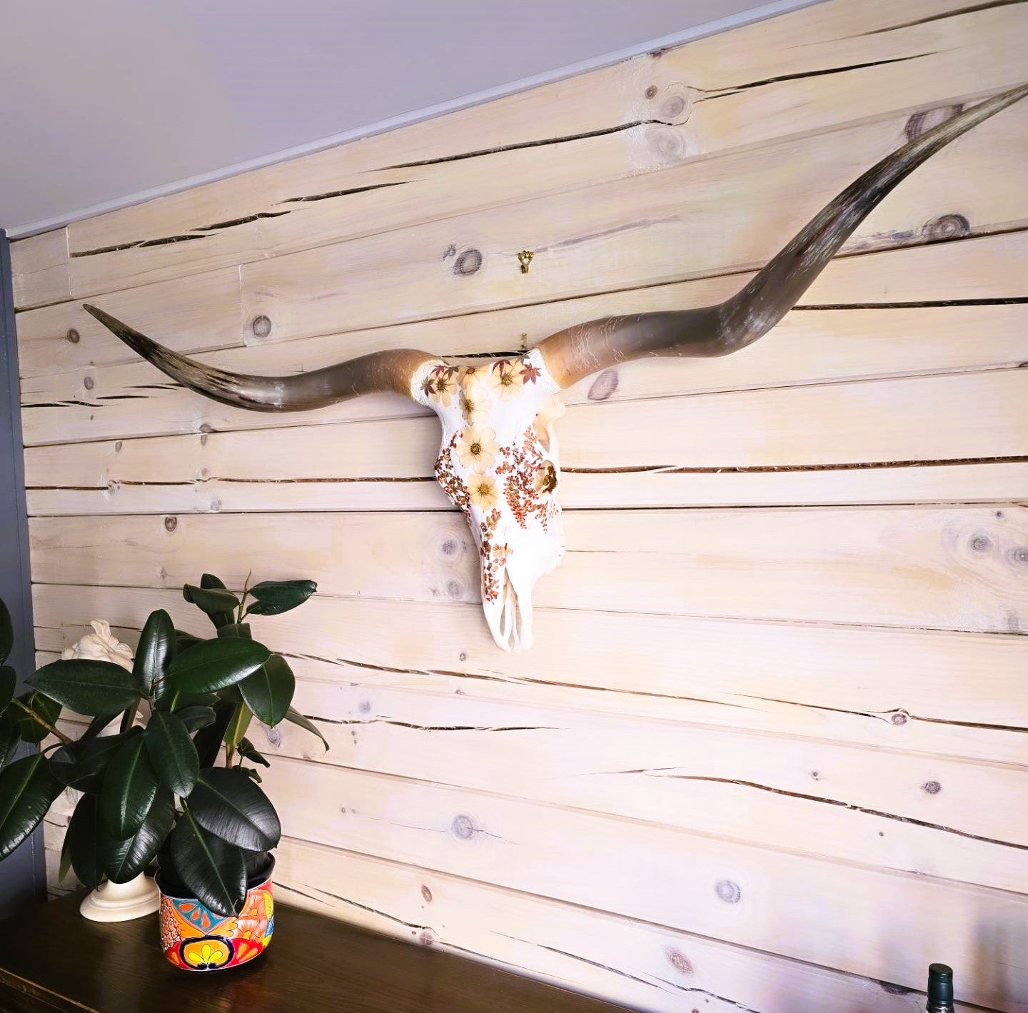 Autumn Sunrise - Texas Longhorn Skull