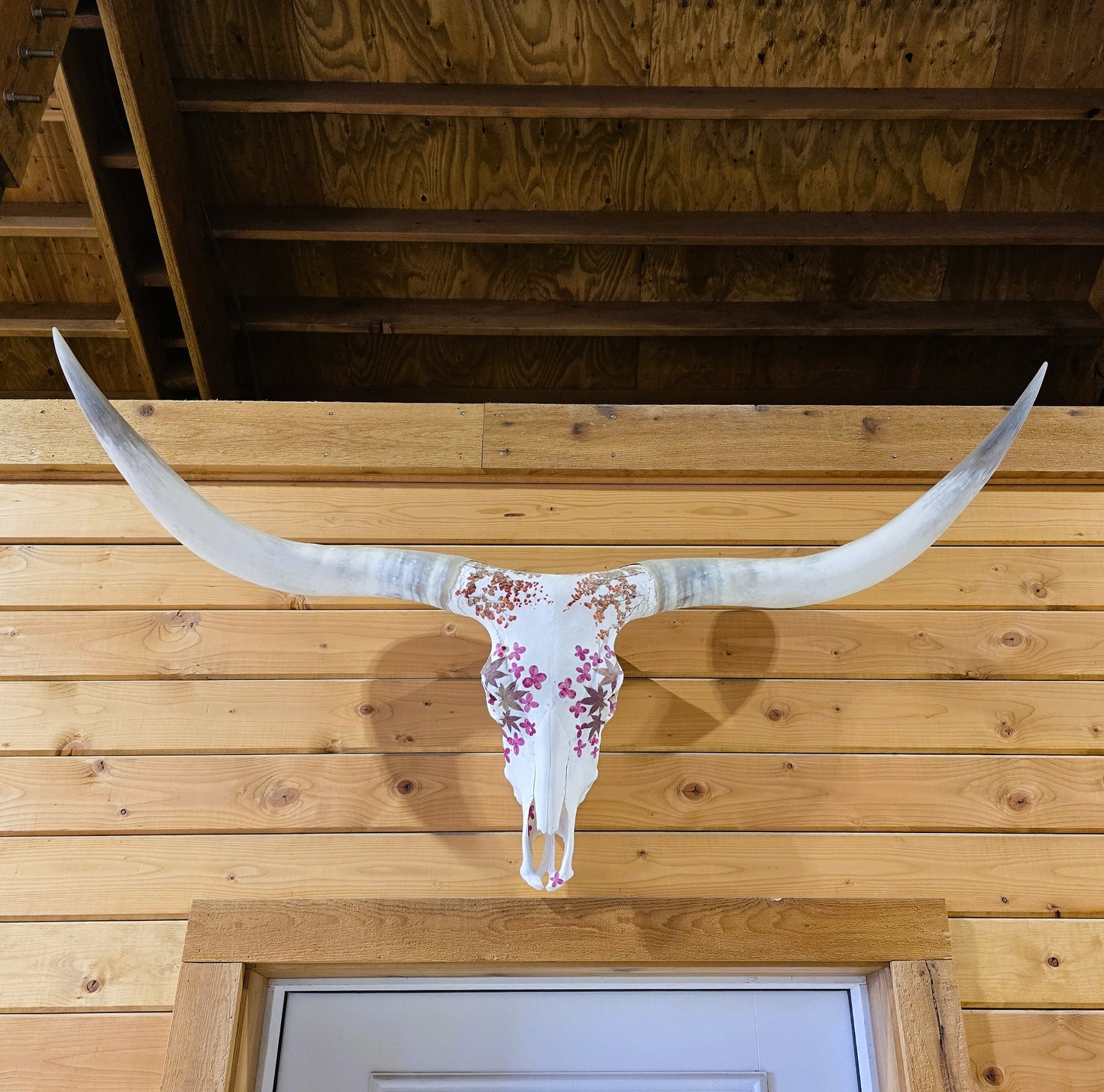 Jasmine - Texas Longhorn Skull Mount Art