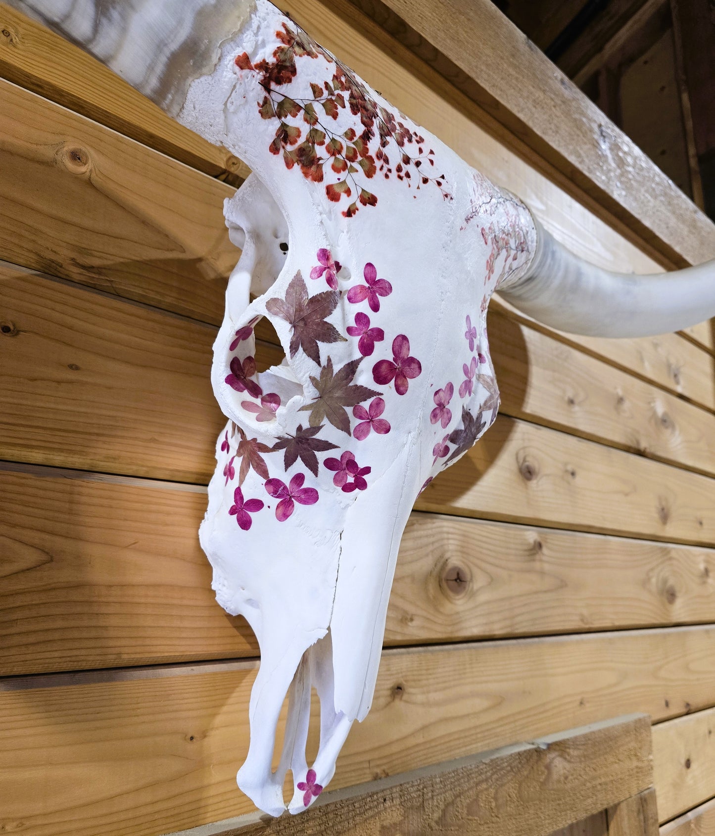 Jasmine - Texas Longhorn Skull Mount Art