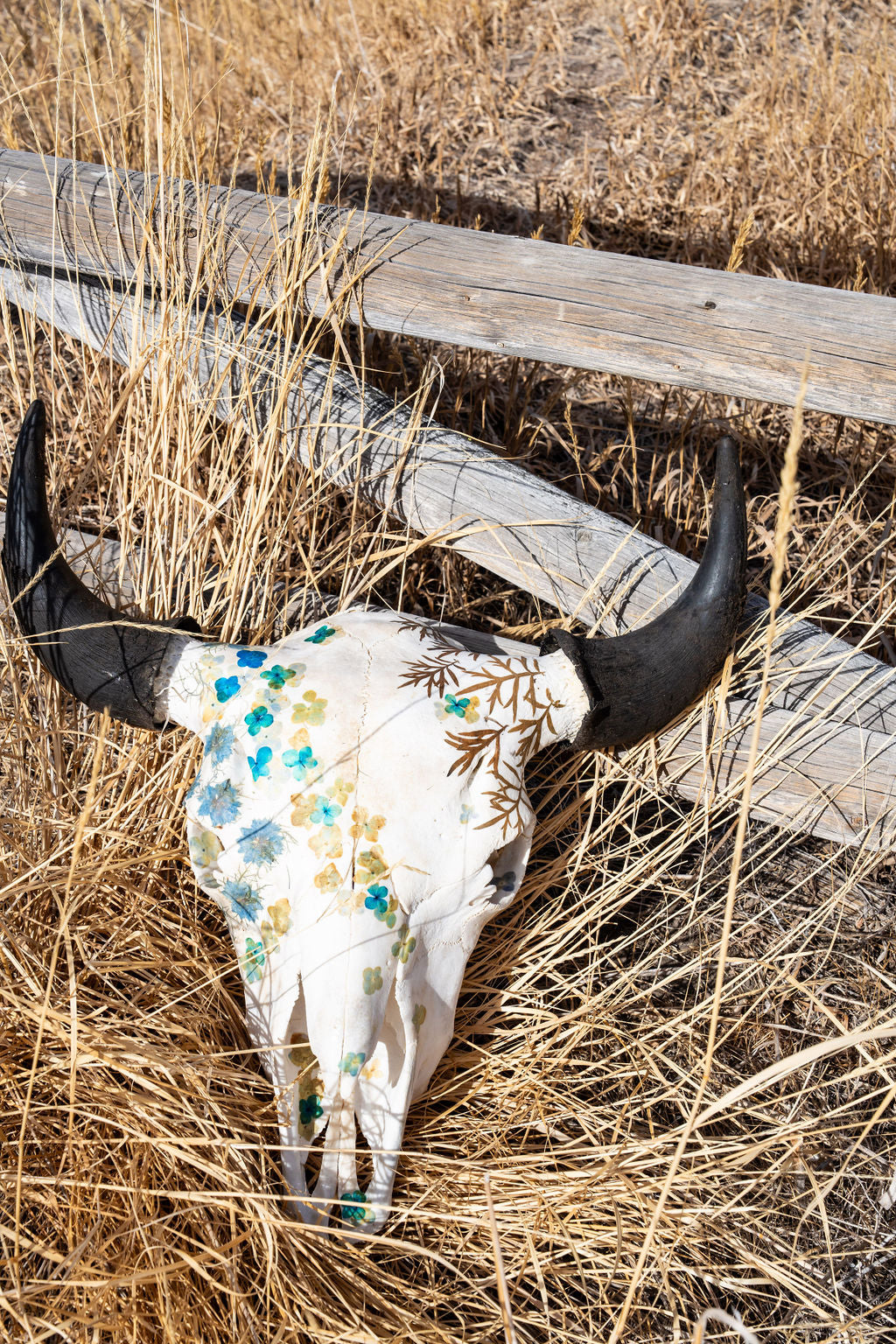 Breeze - Buffalo Skull
