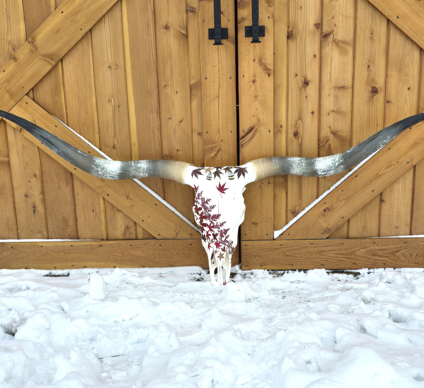 Scarlett - Texas Longhorn Skull
