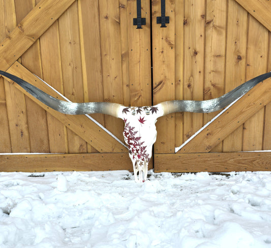 Scarlett - Texas Longhorn Skull
