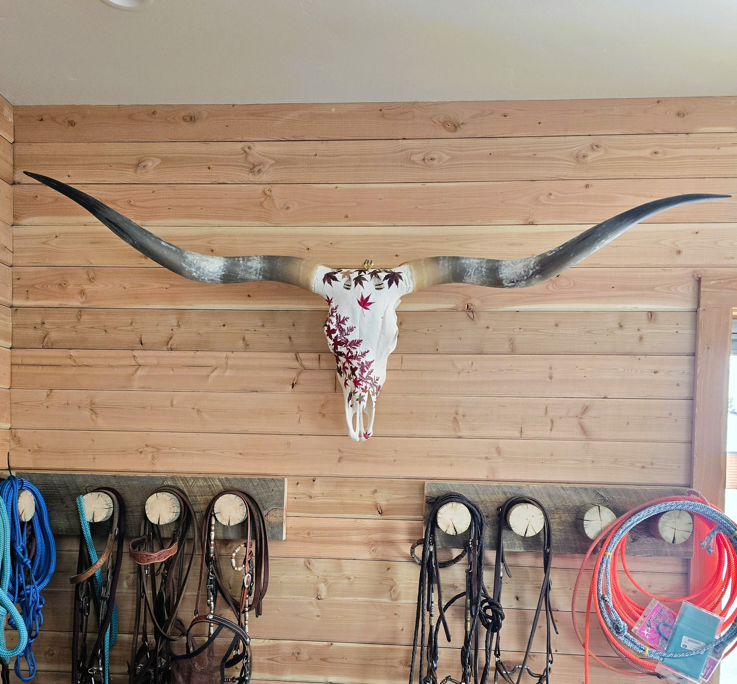 Scarlett - Texas Longhorn Skull