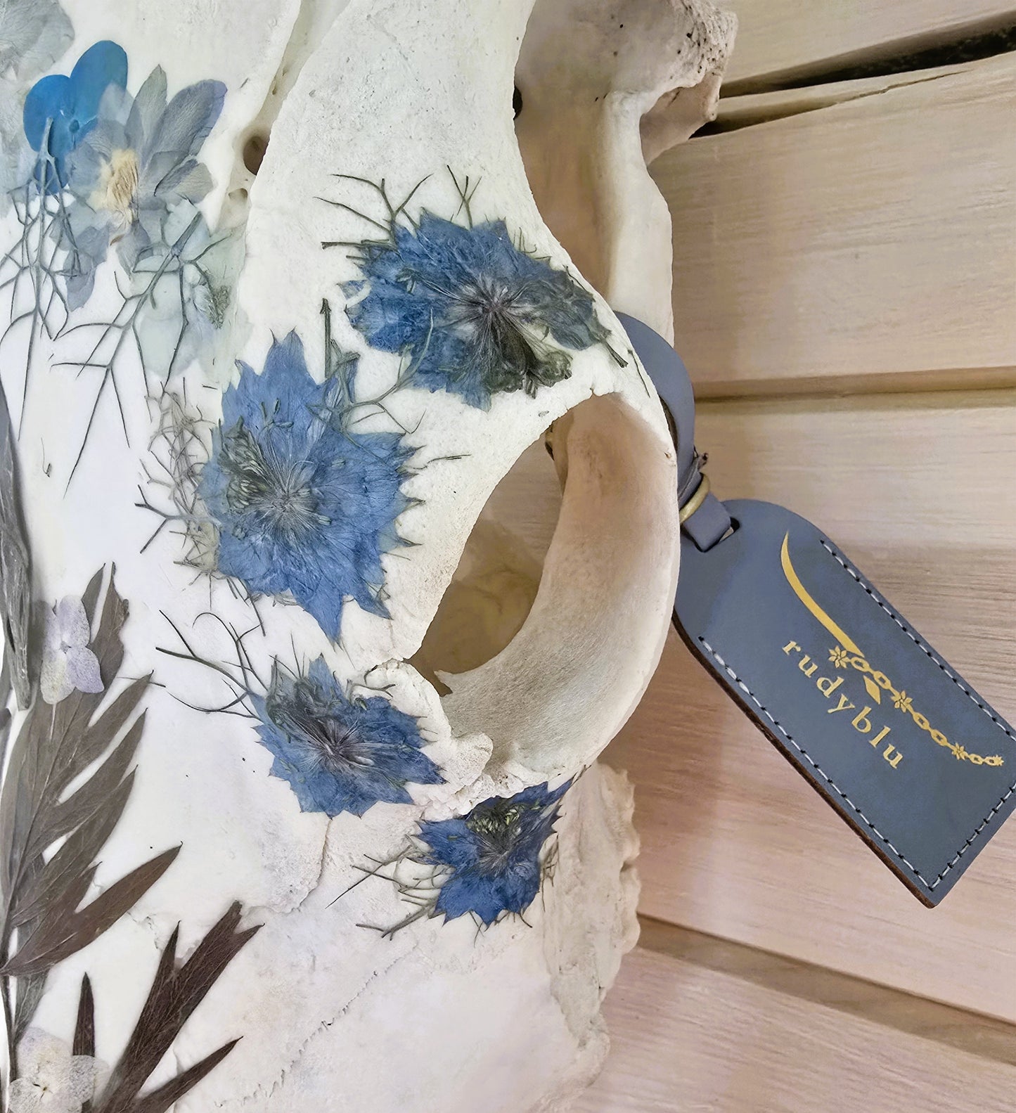 Afina - Texas Longhorn Skull Mount Art