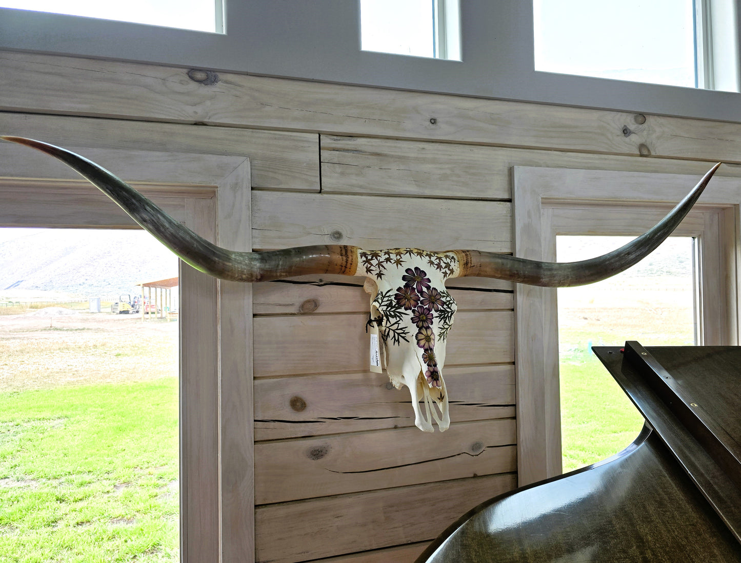 Anastasia - Texas Longhorn Skull