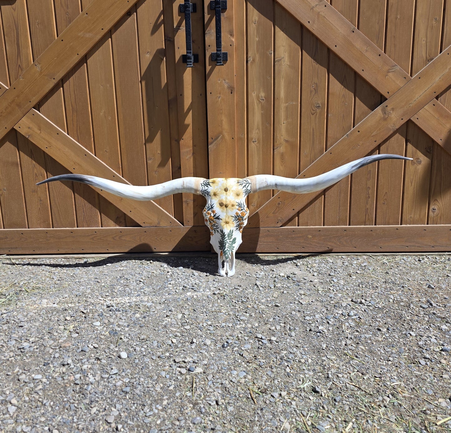 Anika - Texas Longhorn Skull Art