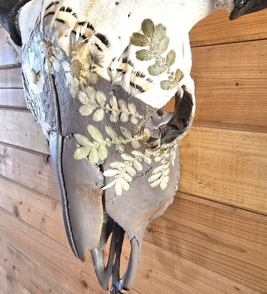 Apollo - Bison Skull Art