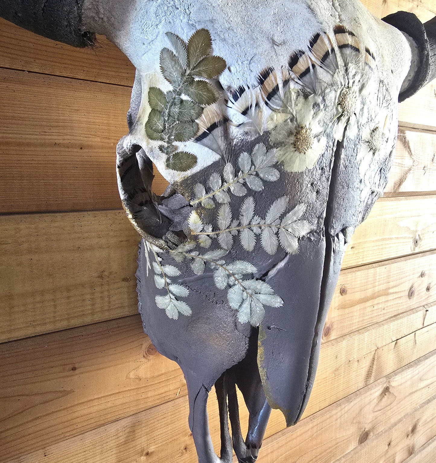 Apollo - Bison Skull Art