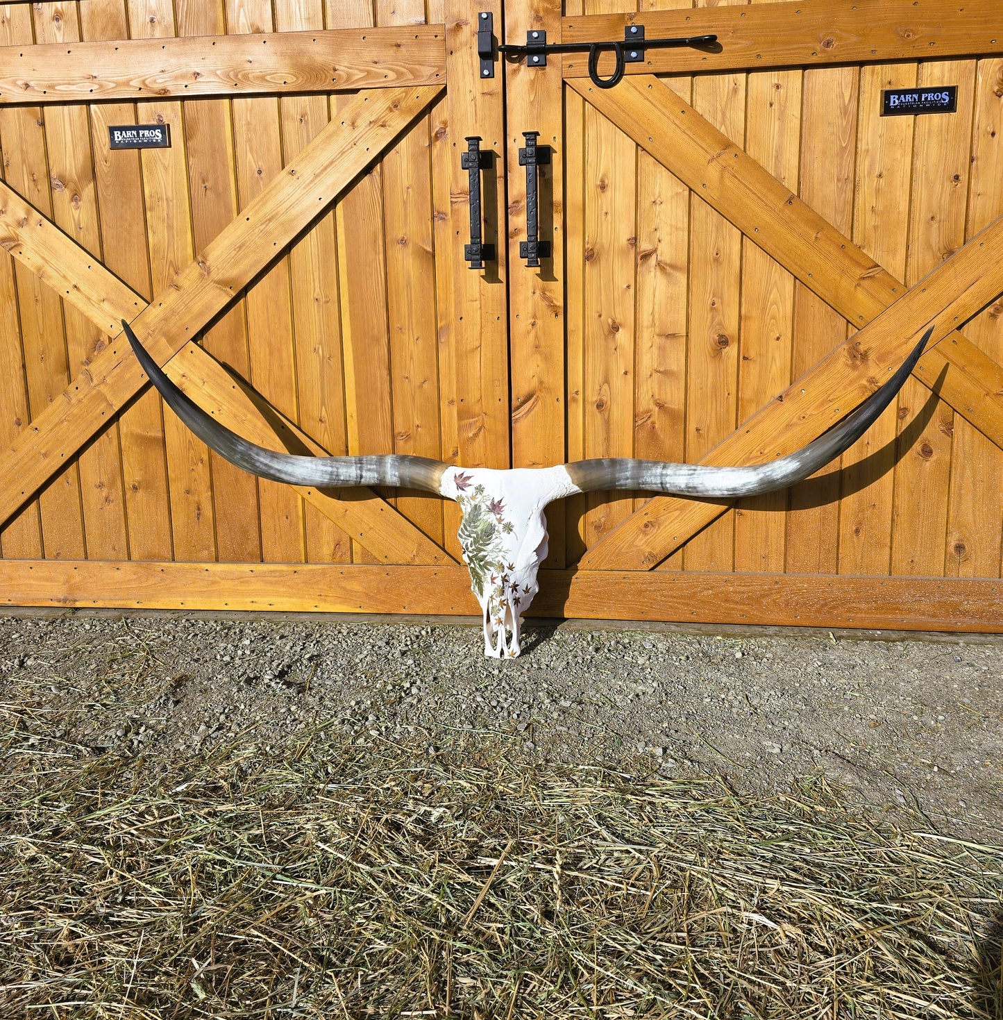 Aspen - Texas Longhorn Skull