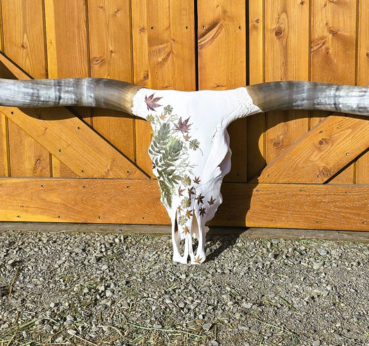 Aspen - Texas Longhorn Skull