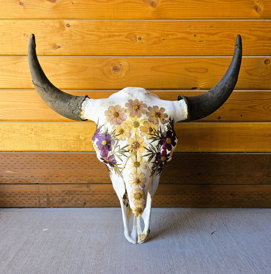 Marin - Bison Skull