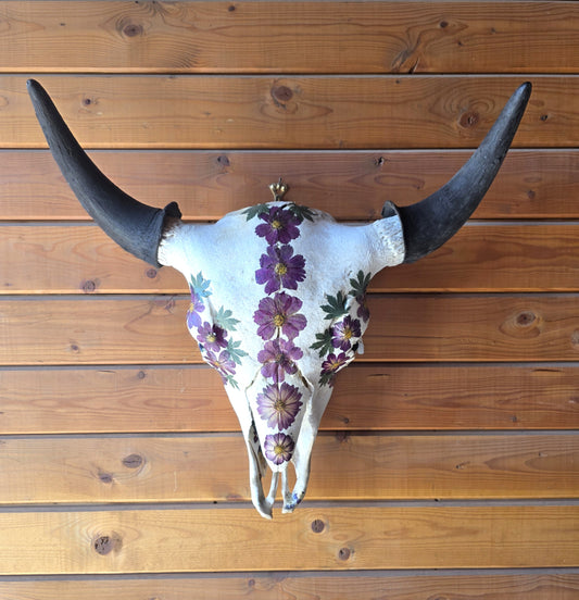 Moose - Bison Skull Art