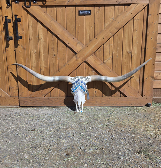 Rowan - Texas Longhorn Skull Art