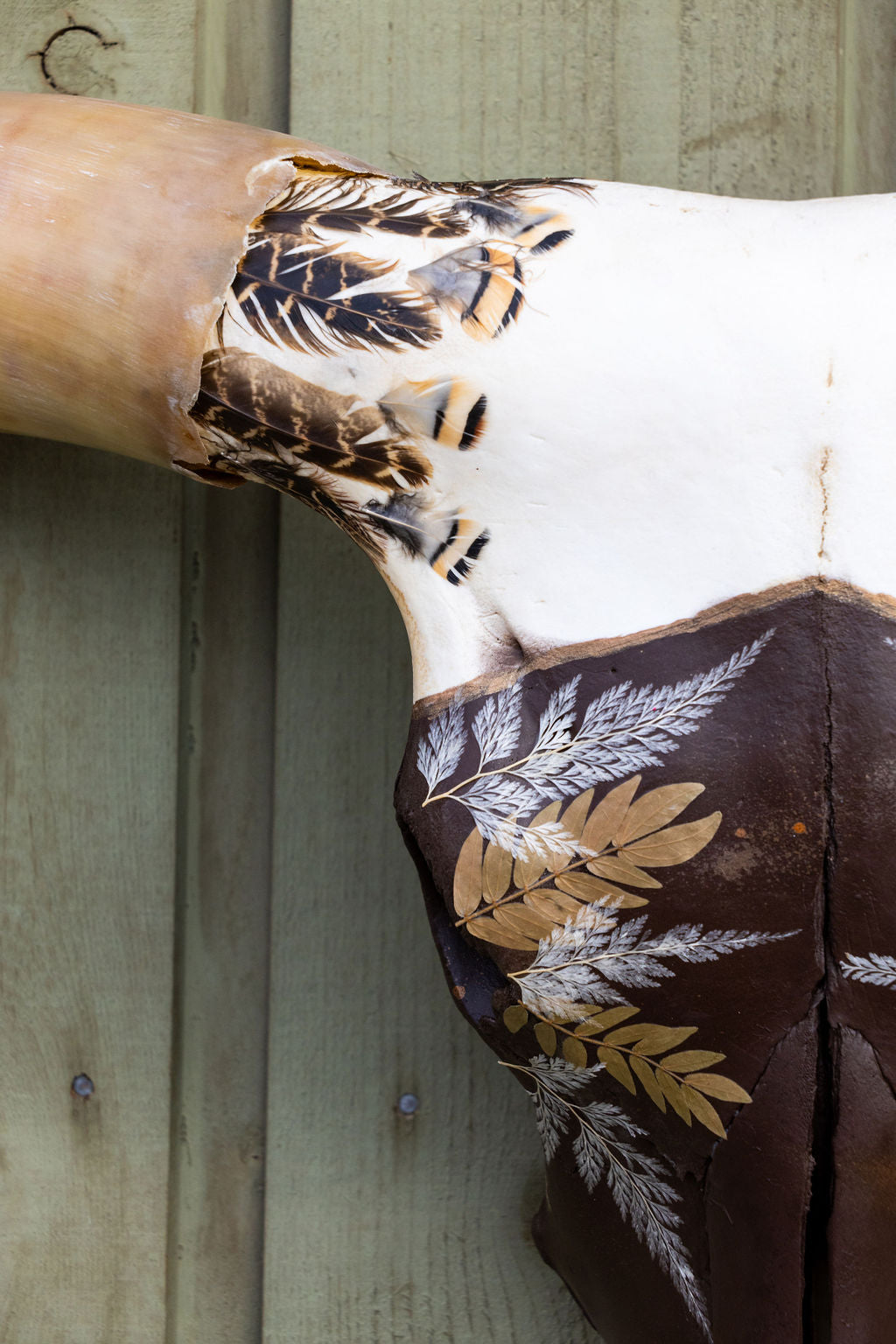 Stolen Dreams - Texas Longhorn Skull