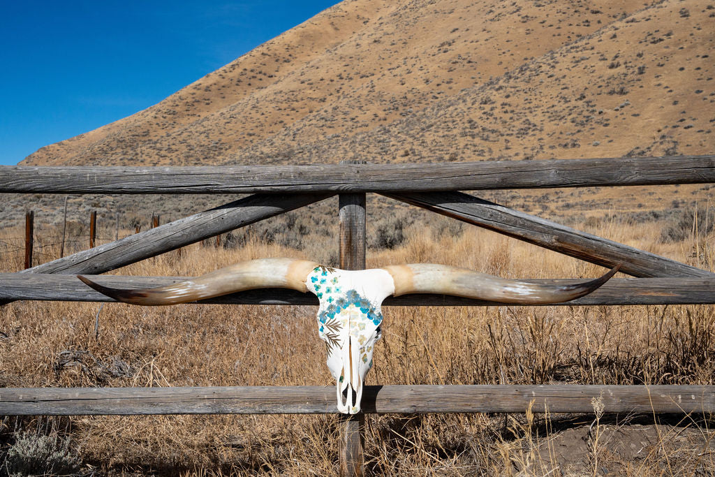 Storm - Texas Longhorn Skull