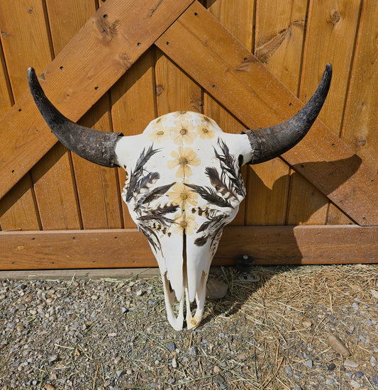 Shelton - Buffalo Bison Skull Mount Art