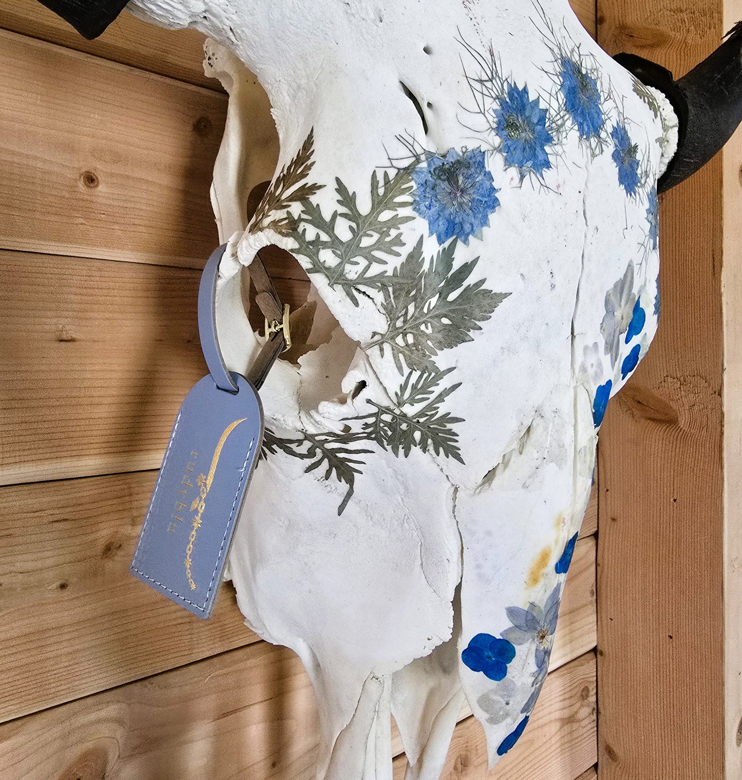 Star - Buffalo Bison Skull