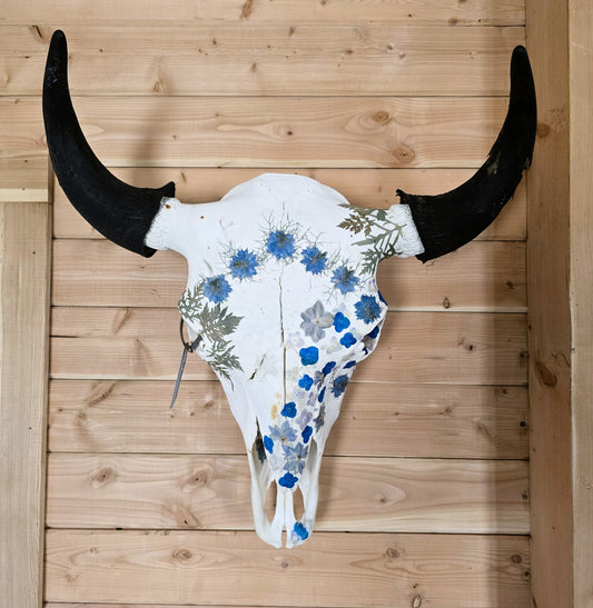 Star - Buffalo Bison Skull