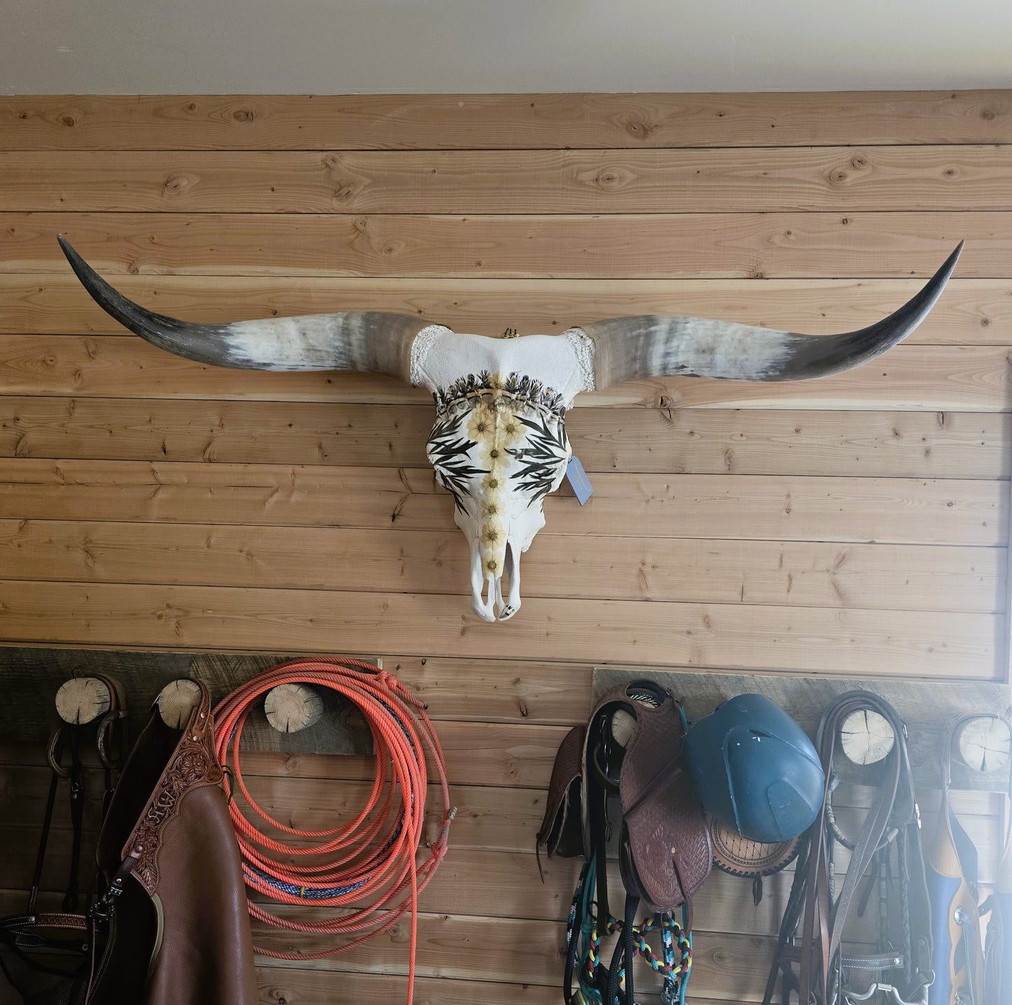 Caesar - Texas Longhorn Skull Mount Art