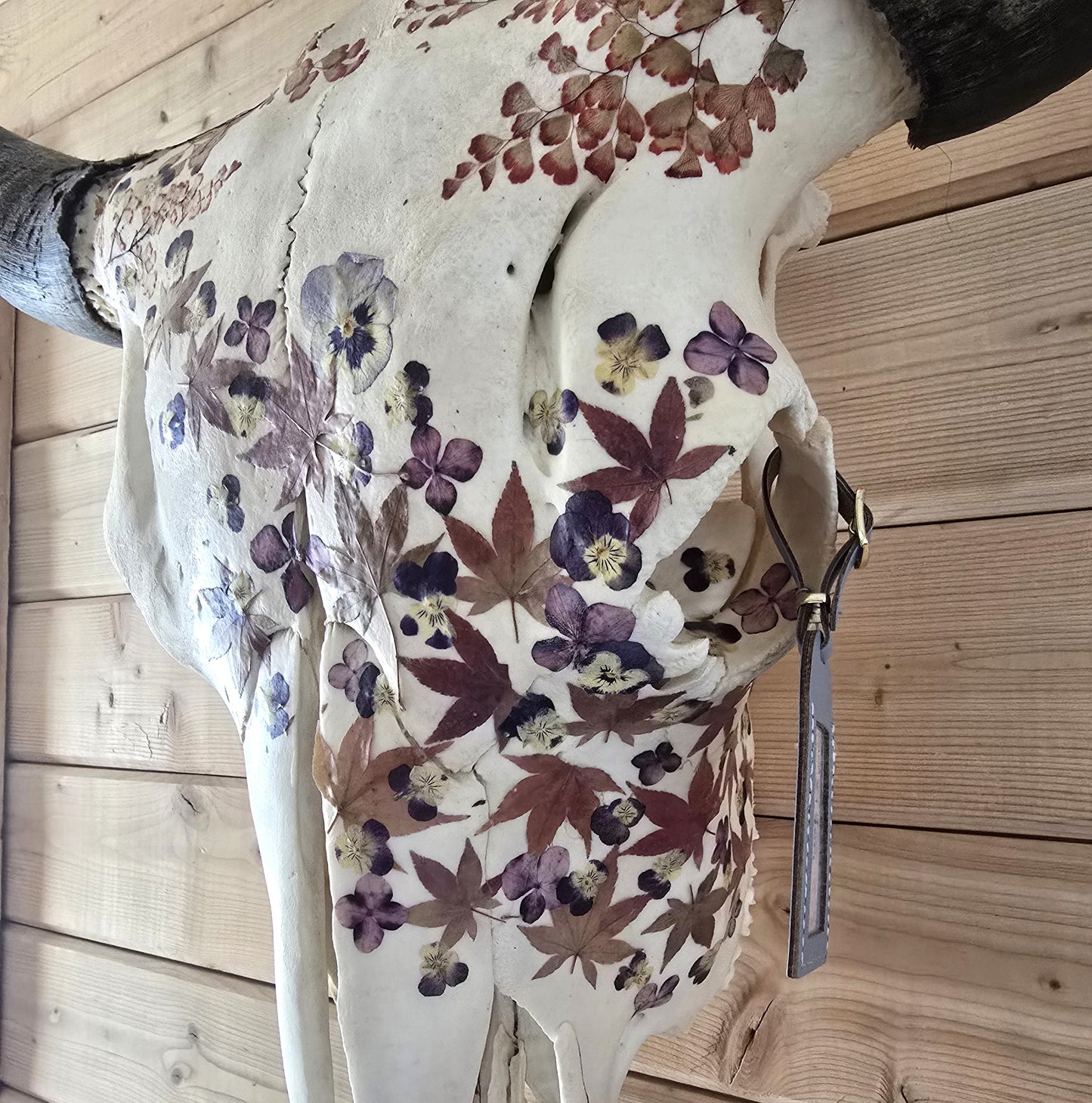 Cash - Buffalo Skull