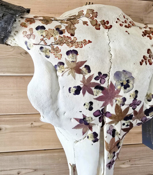Cash - Buffalo Skull