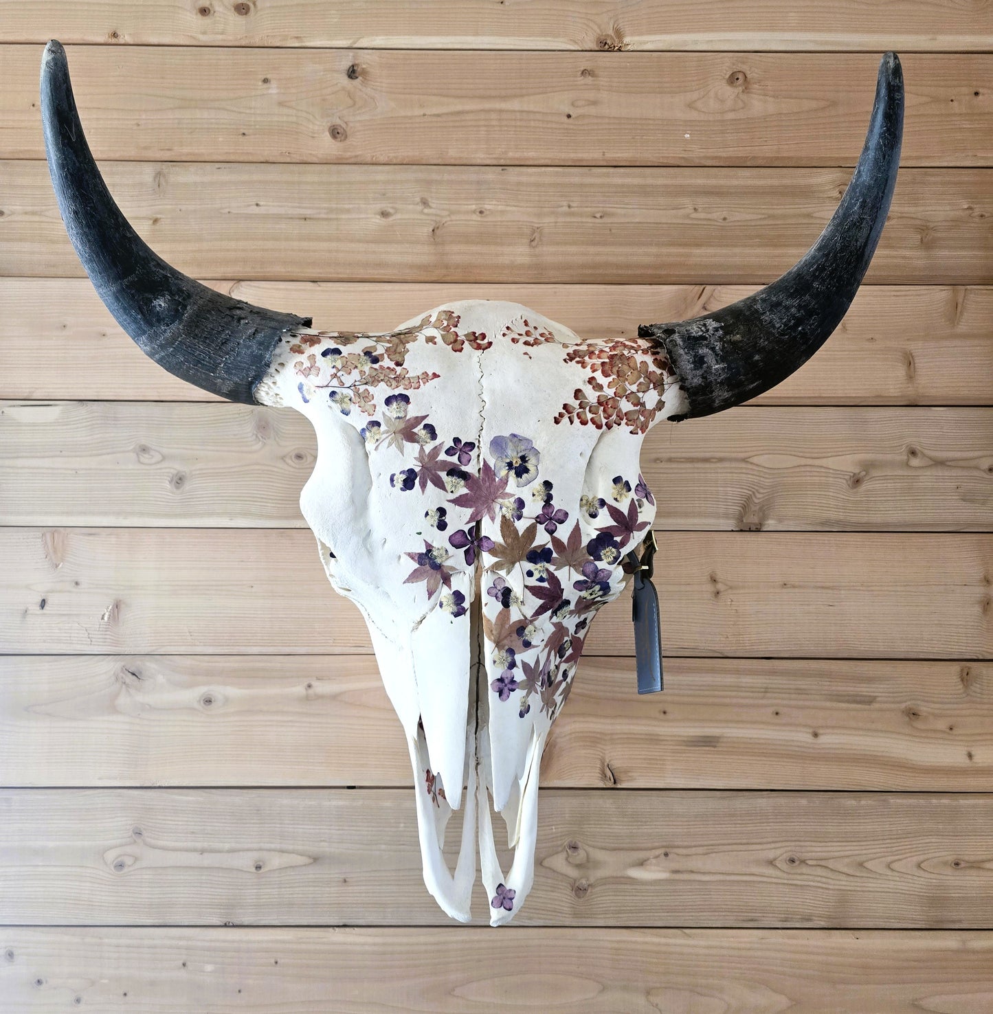 Cash - Buffalo Skull