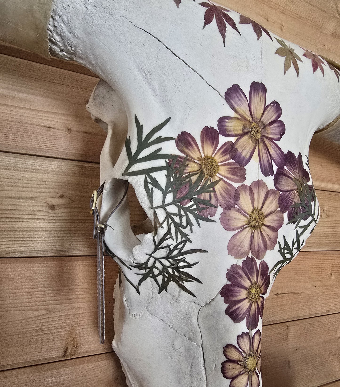 Diana - Texas Longhorn Skull Mount Art