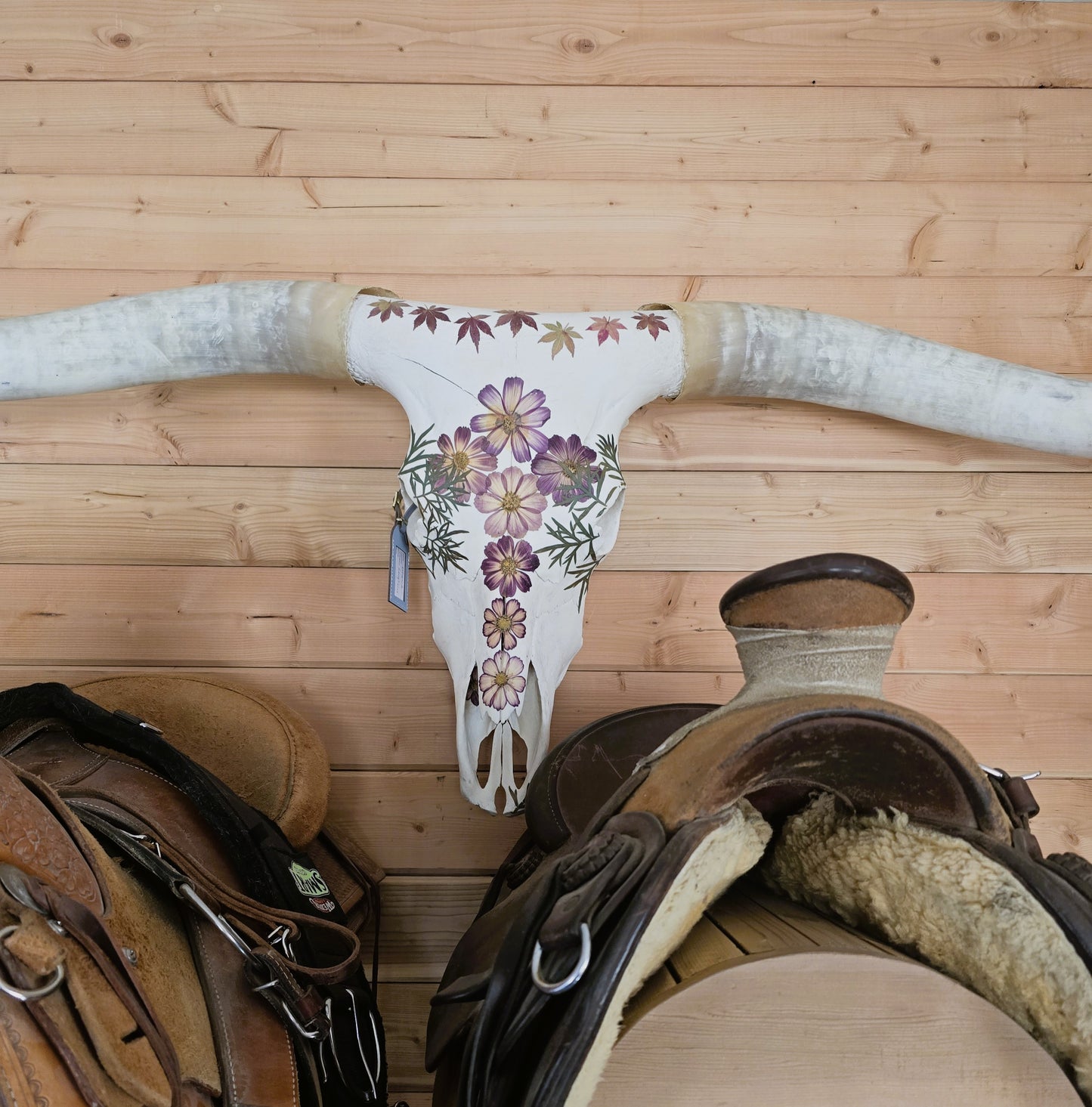 Diana - Texas Longhorn Skull Mount Art